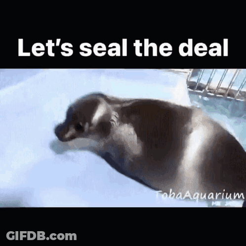 Seal Swimming With Let Seal The Deal GIF