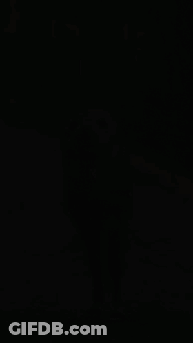 Seal That Looks Like Horse Walking GIF