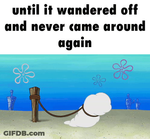 Seal Tied To Post Until It Wandered Off And Never Came Around Again GIF