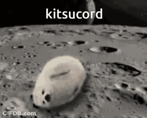 Seal Walking On Moon With Kitsucord GIF
