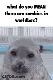 Seal What Do You Mean Zombies In Worldbox GIF