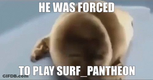 Seal With He Was Forced To Play Surf Pantheon GIF