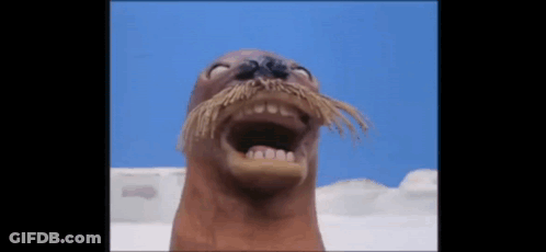 Seal With Long Mustache Making Funny Face GIF