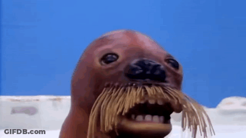 Seal With Mustache And Teeth GIF