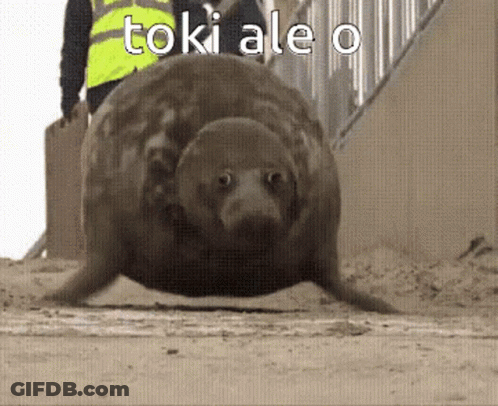 Seal With Toki Ale O GIF