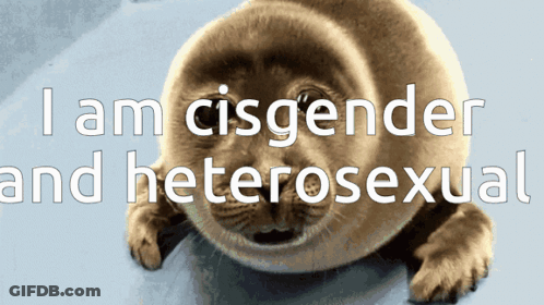 Seal With Words I Am Cisgender And Heterosexual GIF