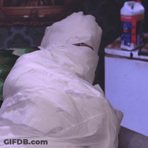 Sealed Mummy Coughing GIF