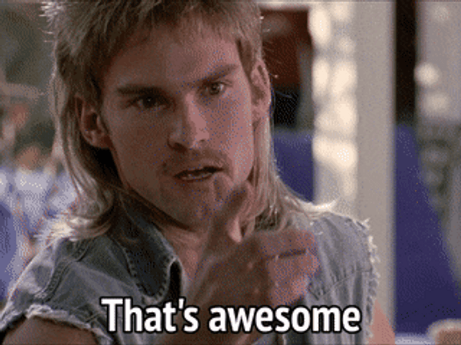 Seann William Scott That's Awesome GIF