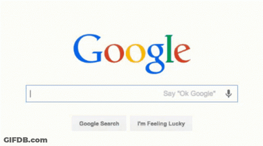 Search Ask Google Or Type A Url Meme GIF