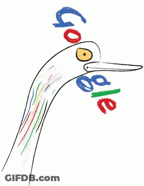 Search Google Falls Or Type A Url Meme GIF