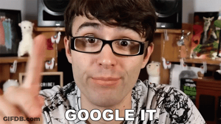 Search Google It Or Type A Url Meme GIF
