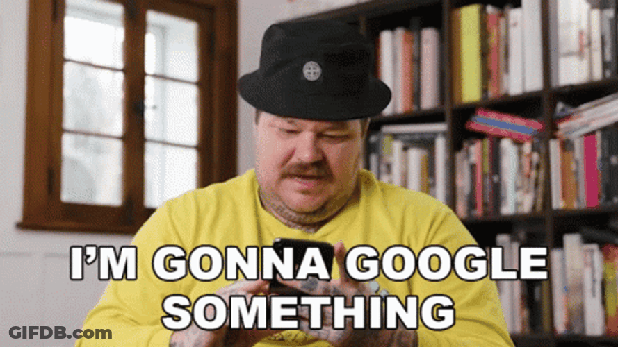 Search Google Something Or Type A Url Meme GIF