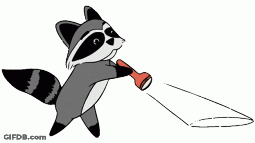 Searching Cartoon Racoon Flash Light GIF