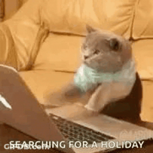Searching Holiday Time GIF