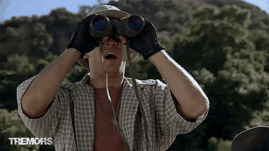 Searching Looking GIF