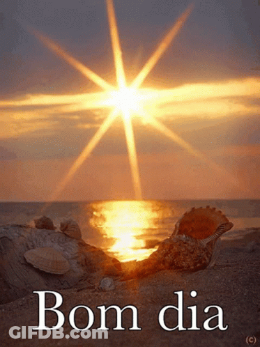 Seashell On Beach With Bom Dia GIF