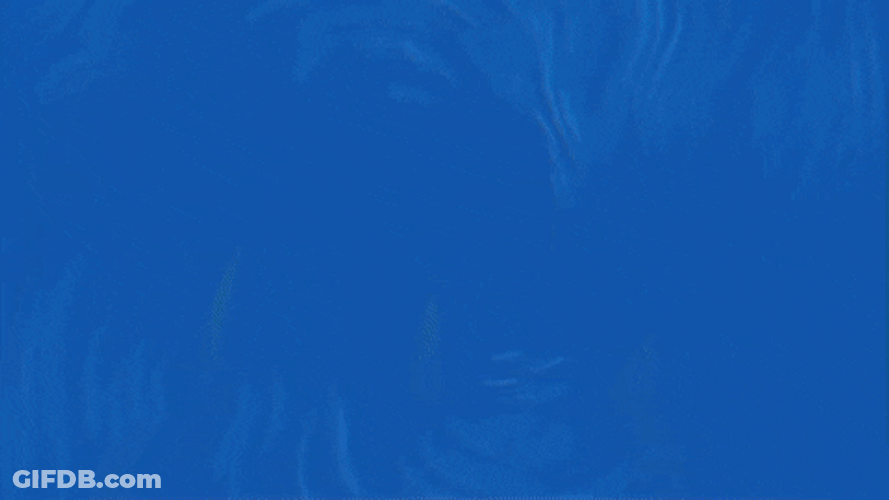 Seattle Seahawks Fans Number GIF