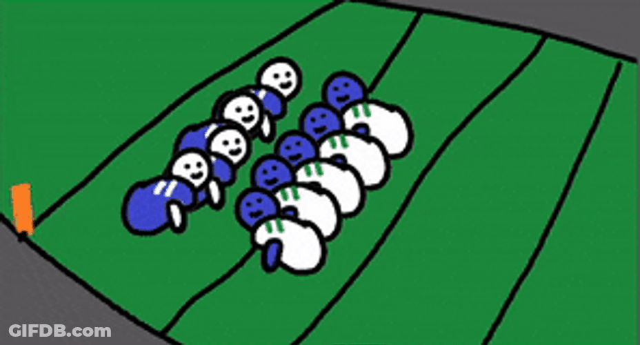 Seattle Seahawks Flying Hero GIF