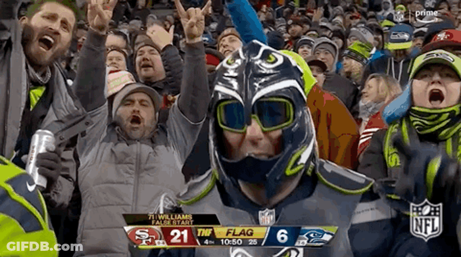 Seattle Seahawks Full Geared Fans GIF