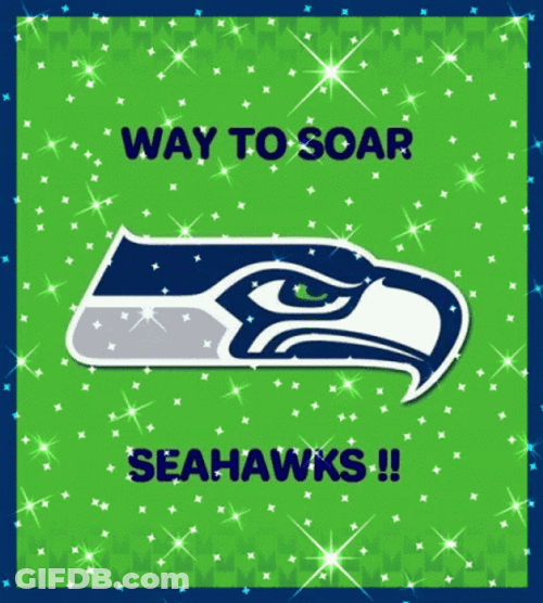 Seattle Seahawks Glittered Way To Soar GIF