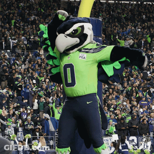 Seattle Seahawks Mascot Celebration Cheer GIF