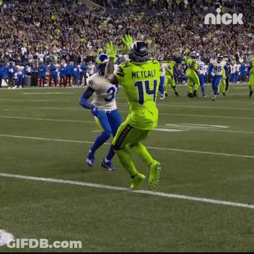 Seattle Seahawks Powerful Catch GIF