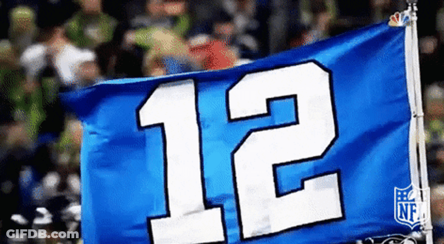 Seattle Seahawks Twelve Flag GIF
