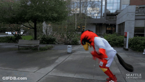 Seattle University Mascot Standing On Sidewalk GIF