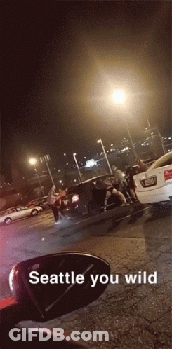 Seattle You Wild Rear View Mirror GIF