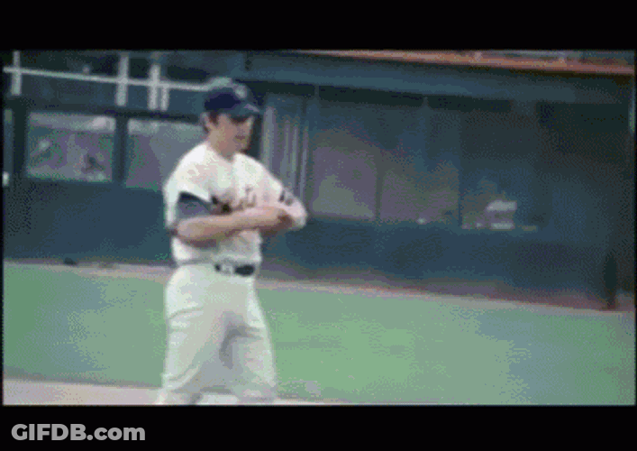 Seaver 4 GIF