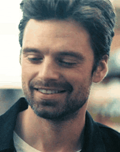 Sebastian Stan Checking Out GIF