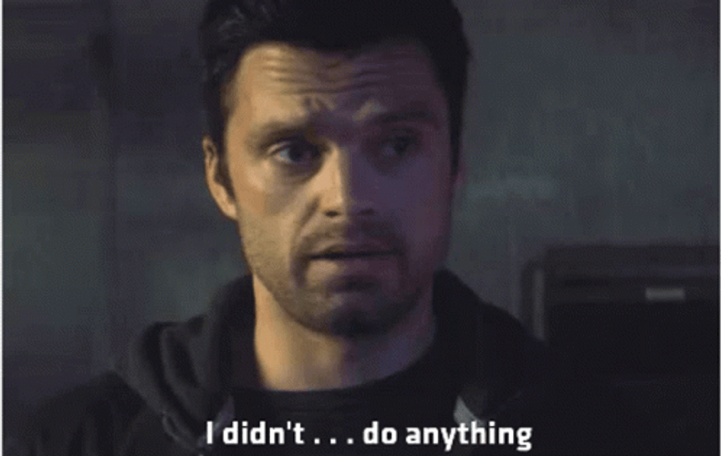 Sebastian Stan Didn't Do Anything GIF