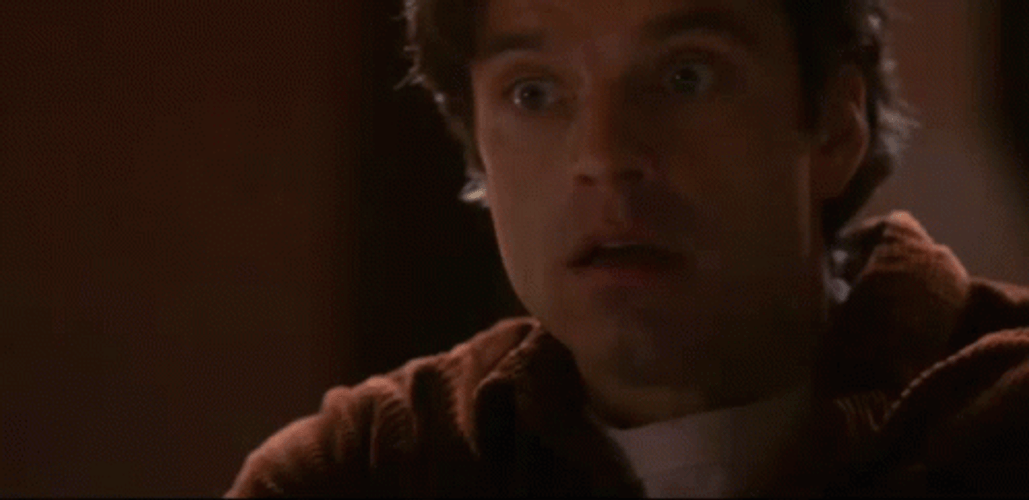 Sebastian Stan Don't Know Shrug GIF