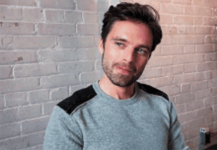 Sebastian Stan Flirty Lip Bite GIF