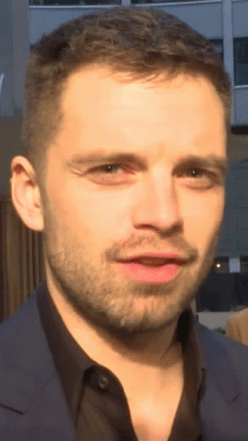 Sebastian Stan Flirty Wink GIF