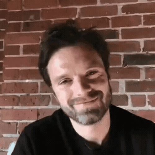 Sebastian Stan Funny Eyebrows GIF