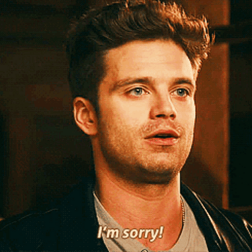 Sebastian Stan I'm Sorry GIF