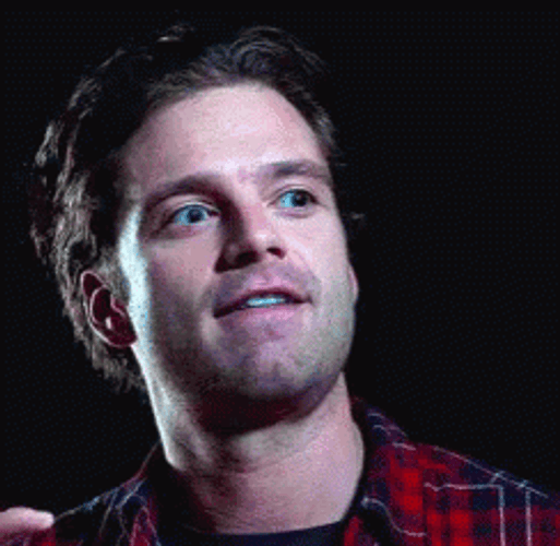 Sebastian Stan Intense Stare GIF