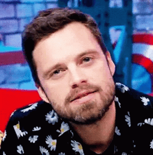 Sebastian Stan Lip Licking GIF