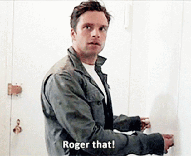 Sebastian Stan Roger That GIF