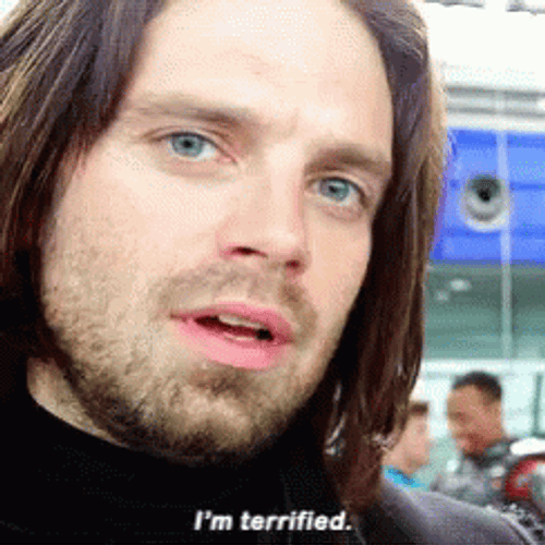 Sebastian Stan Terrified Looks GIF