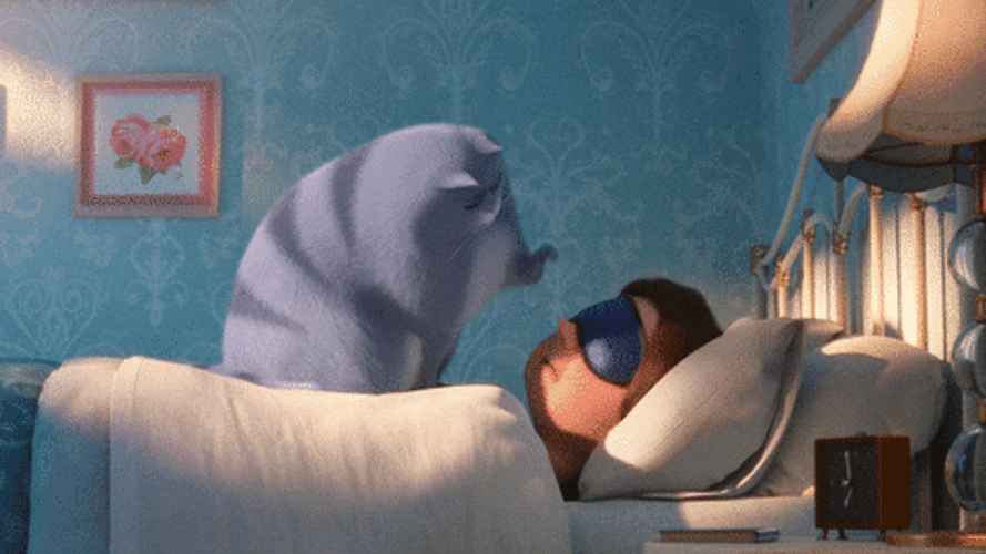 Secret Life Of Pets Chloe Cat As Alarm GIF