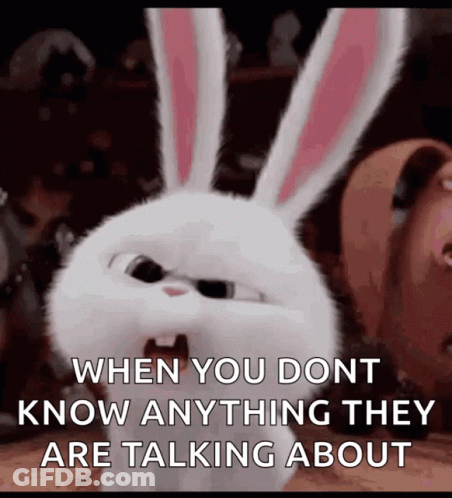 Secret Life Of Pets Rabbit Saying When You Don't Know Anything GIF