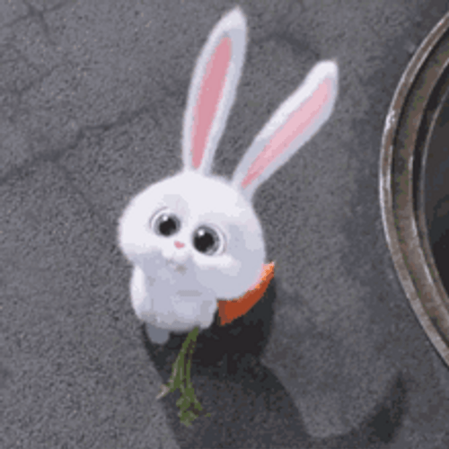 Secret Life Of Pets Smiling Snowball Rabbit Holding Carrot GIF