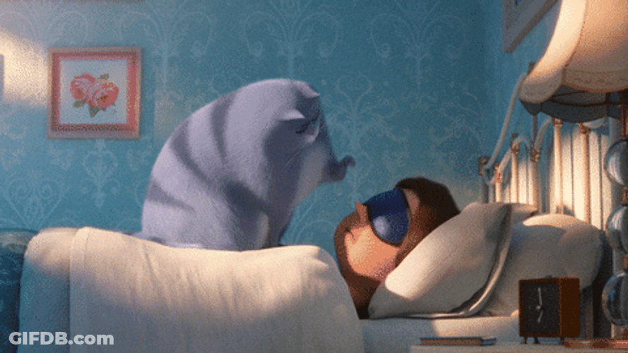 Secret Life Of Pets Wake Up Poke GIF