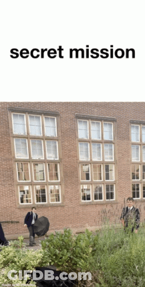 Secret Mission English Student Ducking GIF