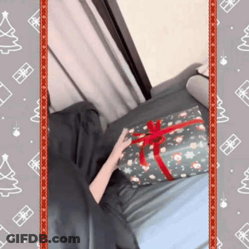 Secret Santa Approved Gift GIF