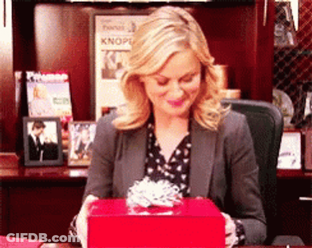 Secret Santa Leslie Knope GIF