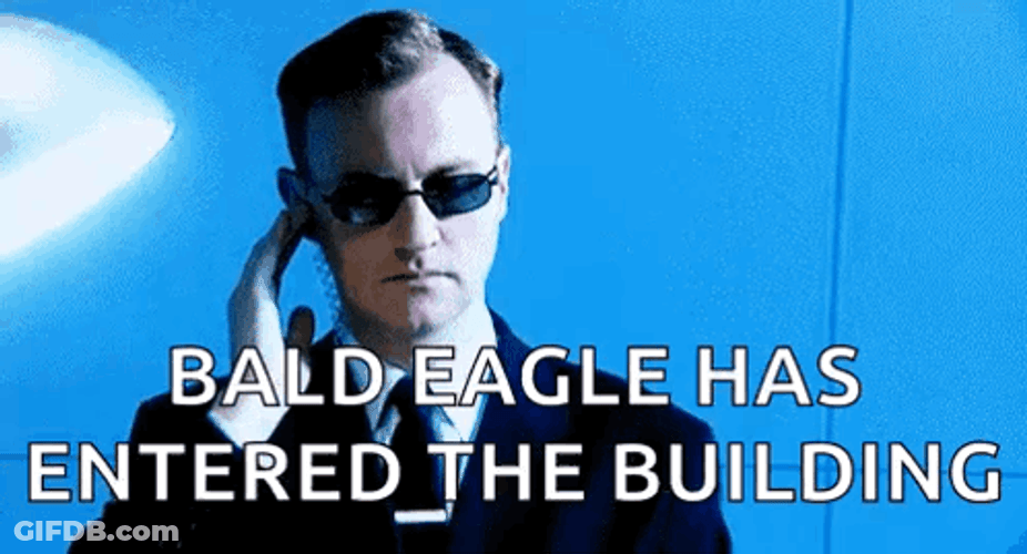 Secret Service Bald Eagle Has Entered The Building GIF
