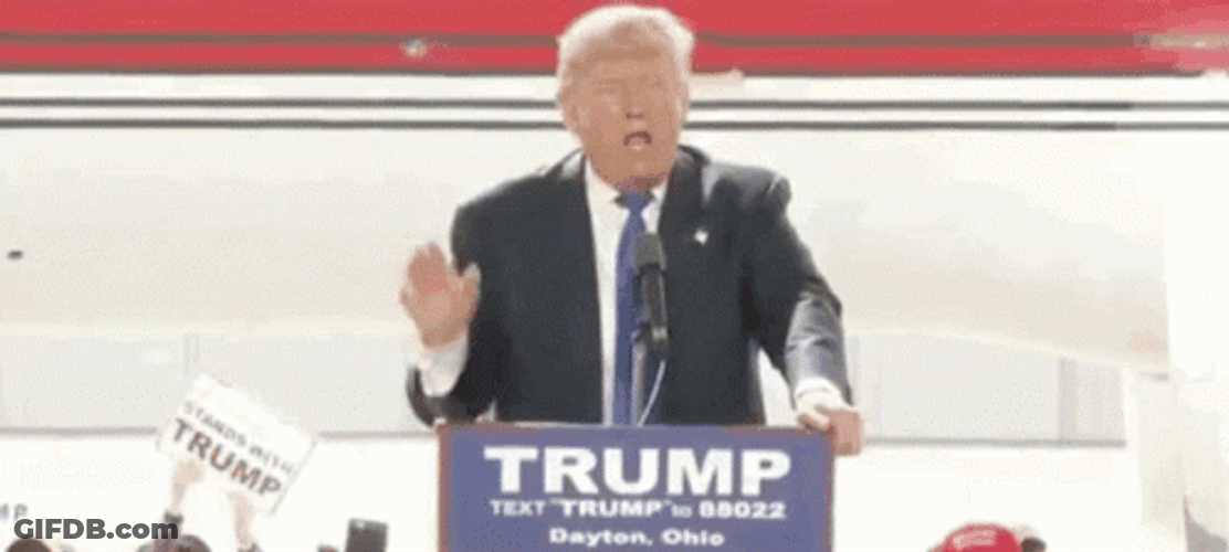 Secret Service Cover Donald Trump GIF